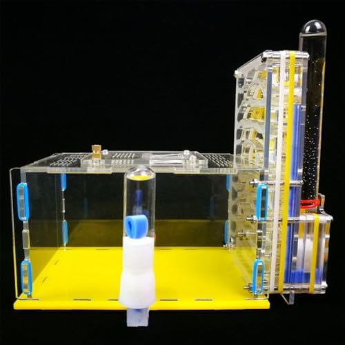 DIY T Design Acrylic Farm with Feeding Area Clear Plastic Villa for Kids Adults Educational Science Project Gift Yellow - Image 3