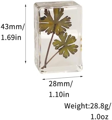 12pcs Dried Green Plant Flower Drip Gel Specimen, Children's Hobby Science Education Products, Microscope Observed Green Leaf Specimen - Image 2