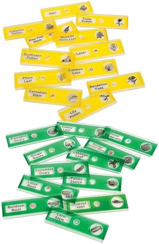 Prepared Microscope Slides for Kids – 24 Plastic Plant & Vegetable Specimens with Labels & Images – Safe, Durable Biology Science Kit for Students Ages 8+ by ConstructivePlaythings