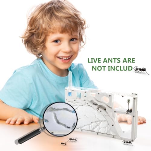 Ant Farm Kit for Kids, Large Ant Farm with Sand, Ant Colony Observation Kit - Image 6