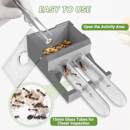Transparent Mini Ant Farm with Dual Test Tubes for Thriving Ant Colony Observation (Gray) - Image 6