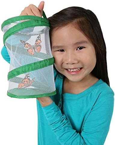 Insect Lore Mini Butterfly Habitat | Clear Mesh, Zipper, 8” Tall | Pop Up Folds Flat | Habitat for Most Insects
