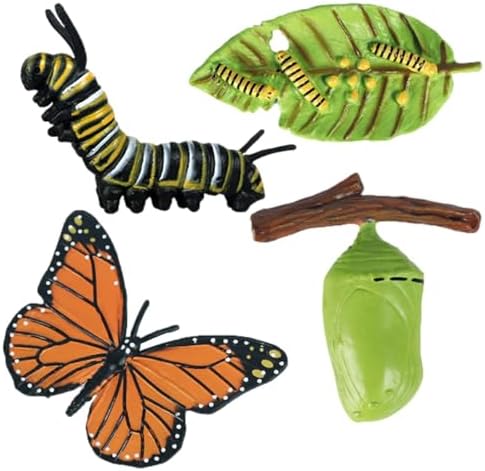 Life Cycleinsects Toys - 6Pcs Educational Figurine Set Ladyybuges - Image 7