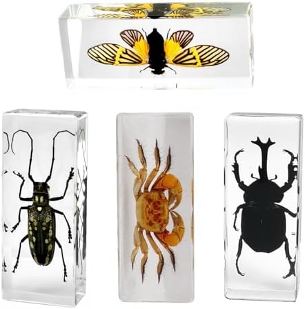 Extra Large 4-Pack Insect Specimens in Resin Crystals Preserved by Aolowewin