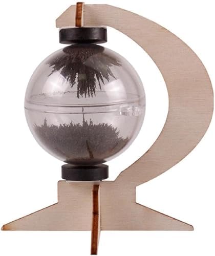 Magnetic Field Line Observation Sphere Kit, Ferromagnetic Substance Attraction Demonstration Tool, DIY Magnetism Physics Experiment Set for Scientific Teaching & Handmade Research by Unknown