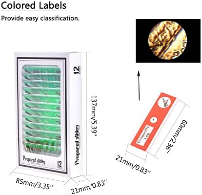 Prepared Plastic Microscope Slides with Specimens for Kids, Microscope Sample Slides Full Range of Animal/Plant/Insect/Blood Biology Slides Gift Set for Kids Microscope (60PCS) - Image 7