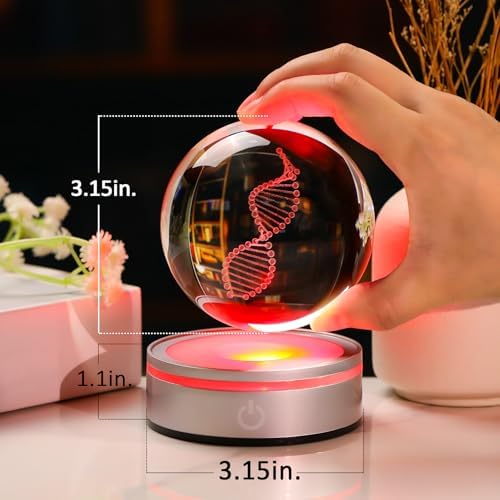 DNA Crystal Ball with LED Base - Unique 3D Laser Engraved Science Decor, Gift for Biology Teachers, Medical Students & Science Lovers, Classroom Lab Decor Night Light - Image 2
