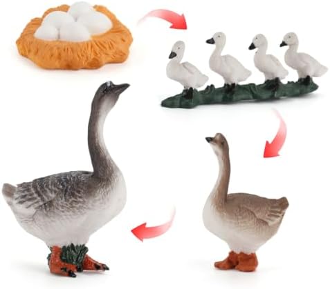 Montessori Life Cycle Animal Figurines Learning & Education Toys, Plastic Insect Life Cycle Toys, Preschool Learning Activities (Hen Goose Duck) - Image 4