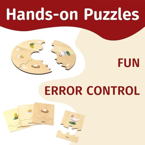 ancona Life Cycle- Chicken, English Monolingual, Montessori Preschool Memory Matching Game Box Set with Animal Figurines & Matching Puzzle Cards, Early Education Toy - Image 3