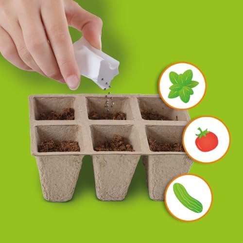 SES Creative - Greenhouse Veggies DIY - (S25203) - Image 6