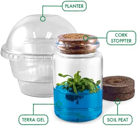 Venus Flytrap Kit, Live Venus Fly Trap Terrarium Included/DIY Beginner Friendly Starter Kit, Educational Growing Plant, Exotic Native - Image 2