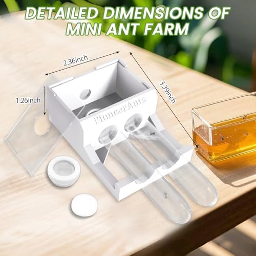 Transparent Mini Ant Farm with Dual Test Tubes for Thriving Ant Colony Observation - Image 2