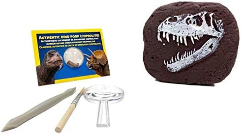 National Geographic Dinosaur Dig Kit - Fascinating Excavation Kits for Kids with Replica T-Rex Tooth and Genuine Dino Poop Fossil | STEM Educational Science Kits Gifts for 8+ Year Old Boys and Girls - Image 4