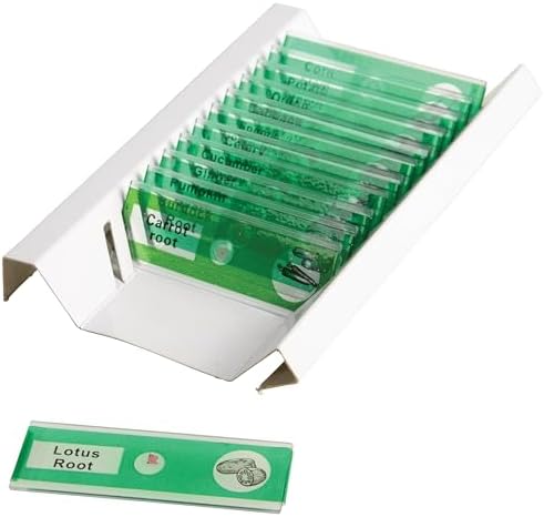 Prepared Microscope Slides for Kids – 12 Plastic Vegetable Specimens with Labels & Images – Safe, Durable Biology Science Kit for Students Ages 8+ - Image 2