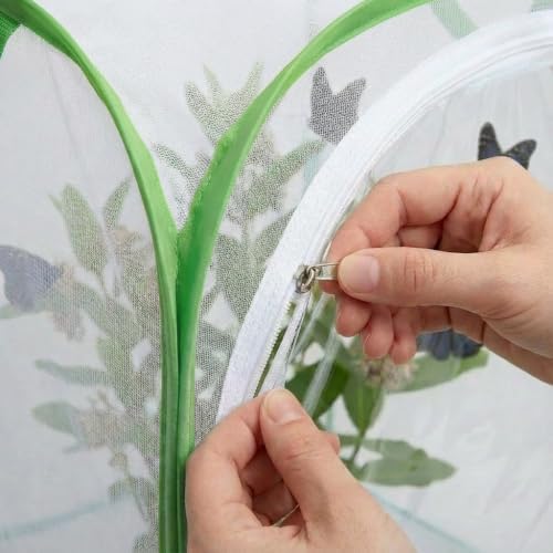 Mesh Plant Protection Enclosure, Portable Collapsible Garden Grow Cage with Mesh Barrier, Pest & Bird Proof Plant Cover for Vegetables, Fruits, Outdoor Patio Balcony Use, 36 Inches Tall - Image 4