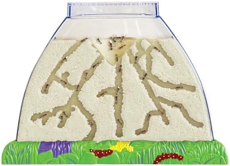 Insect Lore Ant Hill Kit with Prepaid Voucher - Science Kit for Kits - Redeem Voucher for Live Harvester Ants - Watch Native Ants Tunnel and Explore by InsectLore