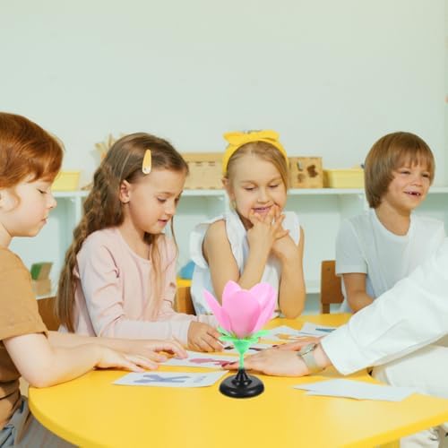 Peach Blossom Model Realistic PVC Biology Teaching Instrument - Image 5
