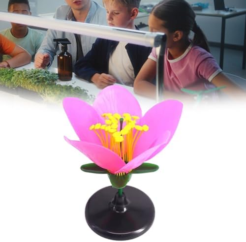 Classroom Ready Modular Peach Flower Structure Kits for Interactive Plant Biology Lessons and Experiments Biology Teaching for Students - Image 2