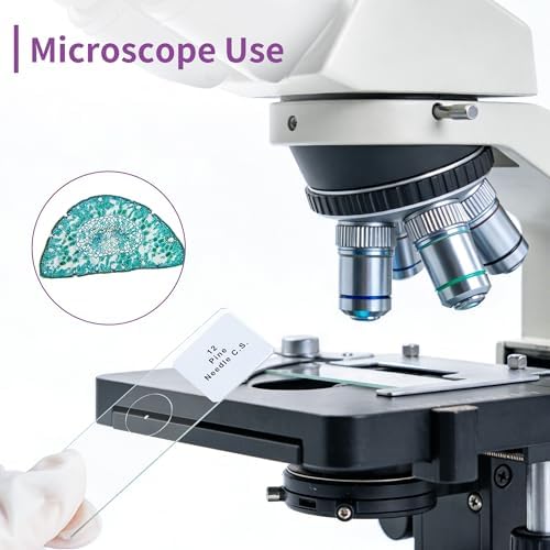 100PCS Microscope Slides with Specimens with Wooden Box, LVQ092 - Image 4
