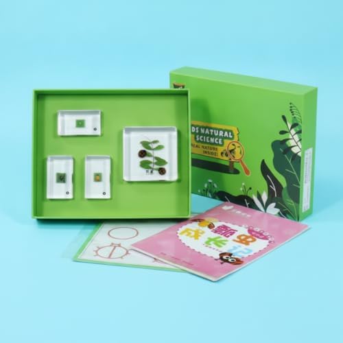 harayaa Children Learning Educational Kit with Resin Sample Blocks Tray Box Cards and Printed Organized Biology Collection, Array, Plant Body - Image 6