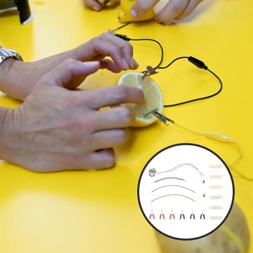 DIY Fruit Battery Power Generation Experiment Kit with Zinc & Copper Sheets, Potato Generator Physics Experimental Material for Scientific Production & Teaching Demonstration - Image 4