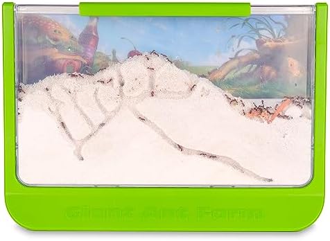 Uncle Milton Giant Ant Farm - Large Viewing Area - Care for Live Ants - Nature Learning Toy - Science DIY Toy Kit - Great Gift for Boys & Girls, Green - Image 4