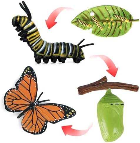 Life Cycleinsects Toys - 6Pcs Educational Figurine Set Ladyybuges - Image 6