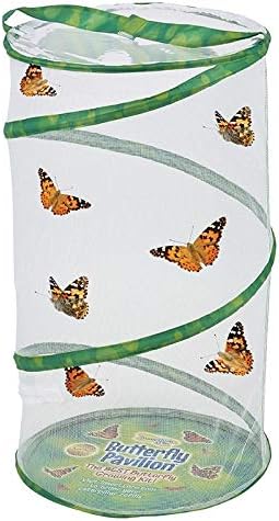 Insect Lore Butterfly Pavilion Habitat - One 2-Ft Tall Clear Mesh - Pops Up Folds Flat, Zipper Top - Great for All Insects and Plants