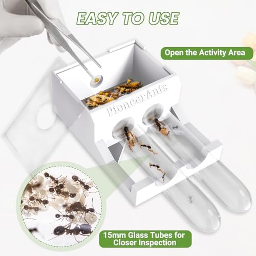 Transparent Mini Ant Farm with Dual Test Tubes for Thriving Ant Colony Observation - Image 6