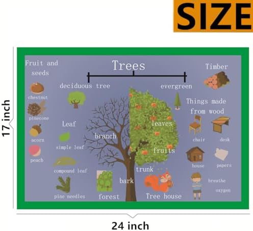 SANTSUN Trees Mind Mapping| Educational Posters for Toddlers and Kids | English Teaching Aid Tool| Handy Wall English Charts Reference for Students| Great for School Classroom Décor(17x24in) - Image 2