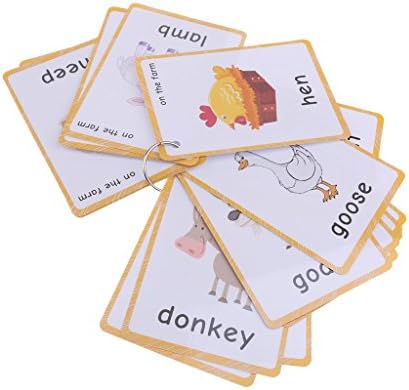 20 pcs Farm Animals Flashcards for Kids | Learning Cards & Montessori Pocket Cards for Pre-K Wall Stickers and Insect Themed Party, Online Classroom | Teacher/Autism Therapists Tools by SANTSUN