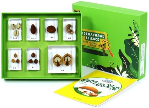 harayaa Children Learning Specime Biology Kit with Resin Sample Blocks Observation Tray Display Box Learning Cards Resin Build with Organized compartments, Delicious Nuts by Unknown