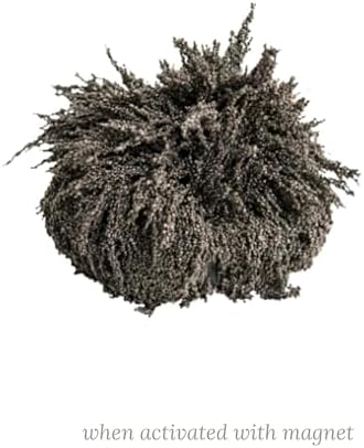 Iron Filings for Magnet Experiments – Magnetic Field Science Learning for Kids, STEM Classroom Supply, Hands-On Physics Activities - Image 2