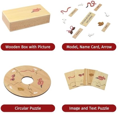 ancona Life Cycle- Worm, Spanish/Simplified Chinese with Pinyin Bilingual, Montessori Preschool Memory Matching Game Box Set with Animal Figurines & Matching Puzzle Cards, Early Education Toy - Image 2