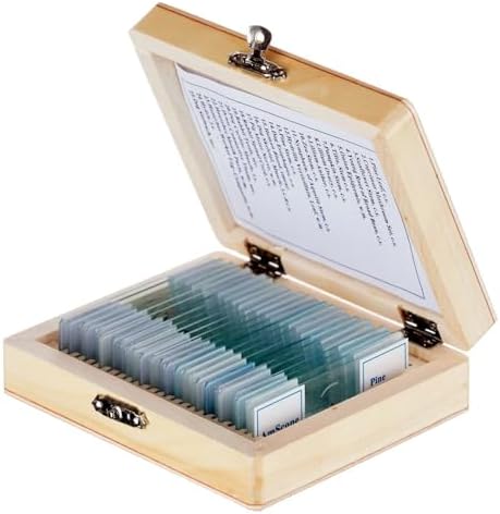 AmScope PS25 Prepared Microscope Slide Set for Basic Biological Science Education, 25 Slides, Includes Fitted Wooden Case Brown by AmScope