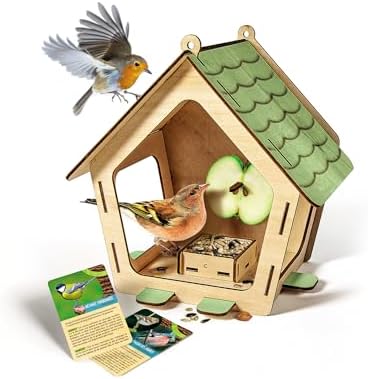 Clementoni - Science Bird Feeder-Play for Future-Scientific Game-French Version, Made in Italy, 7 Years and More, 52517, Wood - Image 4