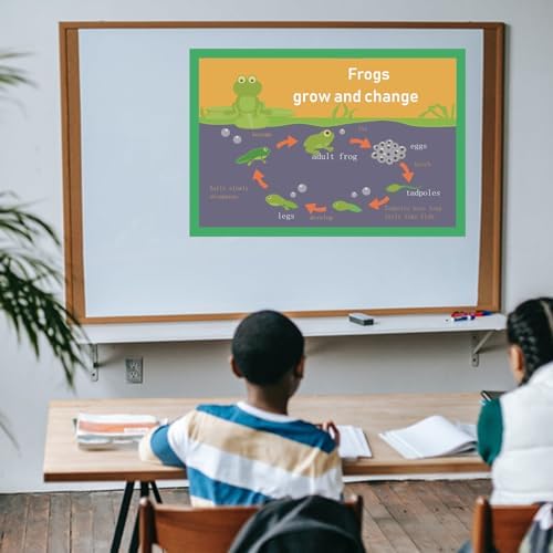 Frogs grow and change Mind Mapping| Educational Posters for Kids(17x24in) - Image 4