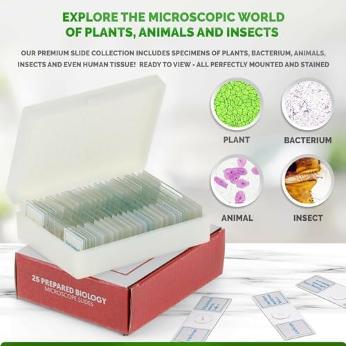 AmScope PS25P Prepared Microscope Slides, Plastic Case, 25pc - Image 3