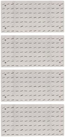 Eisco Labs Magnetic Field Demonstrator - Set of 4 Plates by EiscoLabs
