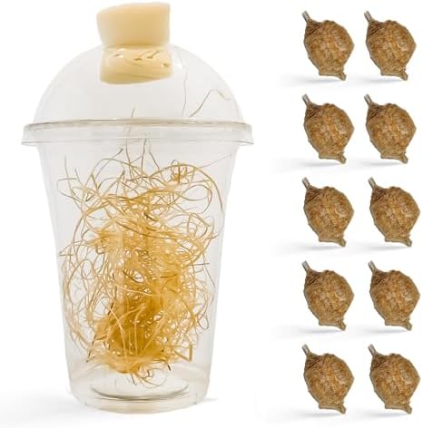 Chinese Praying Mantis Ootheca Egg Cases with Hatching Habitat Cup (Ten Egg Cases) - Comes with a Transparent Habitat Cup, Each Egg Case Produces Approximately containing up to 400 Baby Nymphs by Unknown