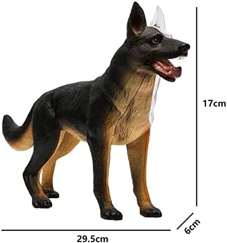 4D Dog Anatomy Model with Detachable Biology, Anatomical Model, 29 Parts for Animal Teaching Demonstration and Veterinary Training - Image 4