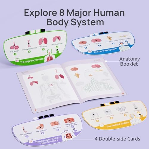Science Can Human Body Model for Kids, Interactive Anatomy Learning Toys - Image 6