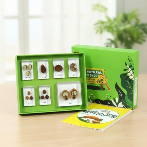 harayaa Children Learning Specime Biology Kit with Resin Sample Blocks Observation Tray Display Box Learning Cards Resin Build with Organized compartments, Delicious Nuts - Image 2