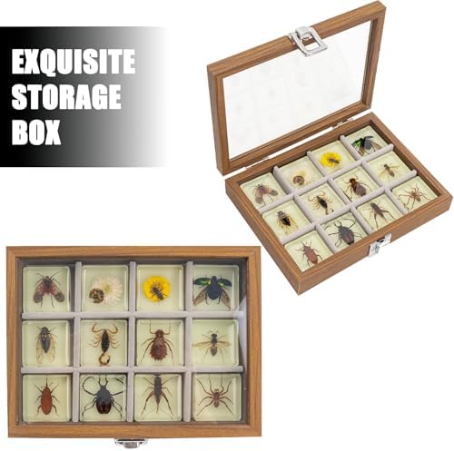Insect Specimen Set, Bugs Collection Scientific Education Gift for Kids Aged 3-8-12 (12 Pack Glow-in-The-Dark) - Image 3