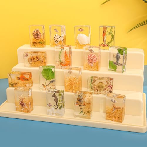 16 Pcs Ocean Animal Scenery Insect in Resin Specimen Bugs Collection Paperweights，16 Styles Scenery Real Bug Specimen Bug Kit Preserved in Resin for Scientific Display Supplies - Image 5