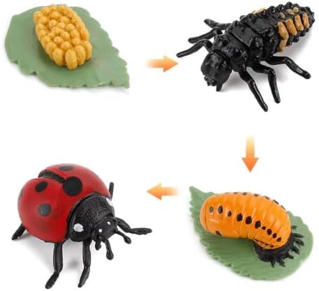 Montessori Animal Life Cycle Figurines by Unknown