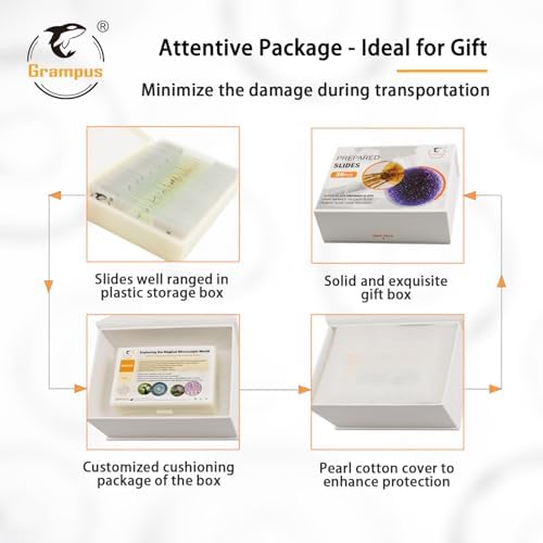 30 Prepared Microscope Slides with Specimens for Kids Students - Animals Plants Insects Microorganism, for Biological Science Lab, Children's Science Education, Homeschool - Image 7