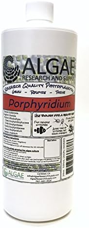 Algae Research Supply Algae Culture Porphyridium Cruentum, Perfect for School Science Fairs/Projects, Experiments & Classrooms (1000mL) by Algae+Research+and+Supply