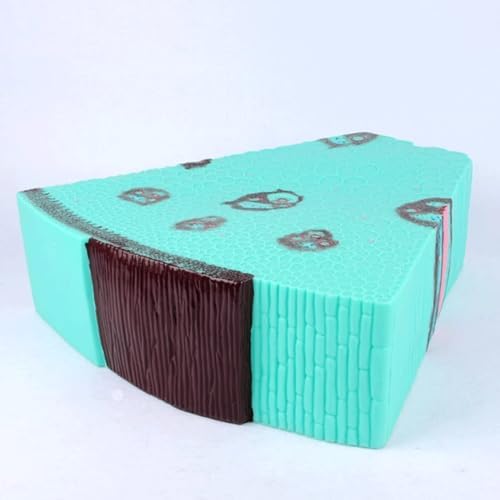 Plant Model Dicotyledonous Herb Stem Model Plant Cell Model Teaching Instruments Corn Stalk Cross-Cut Model for Biology Teaching - Image 3