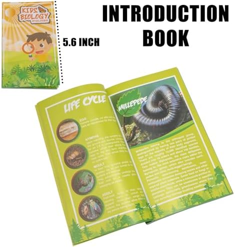 Insect Specimen Set, Bugs Collection Scientific Education Gift for Kids Aged 3-8-12 (Millipede, Centipede, Dragonfly Larvae, Tea Seed Bug, Red Longhorn Beetle, Spiny Spider) - Image 6